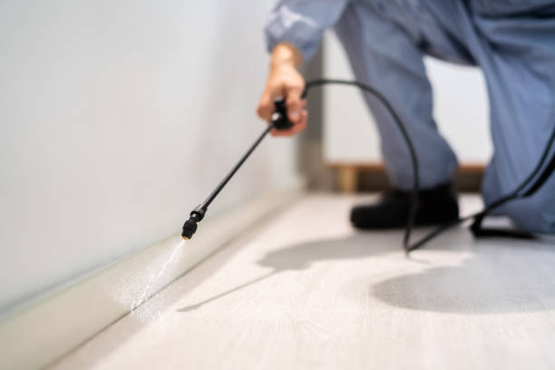 Licensed Pest Control service in Lemoore, CA - Show Me Pest Control