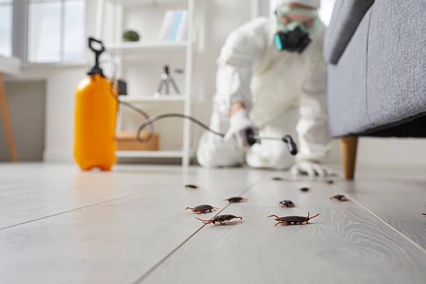 Commercial Rodent Management in Lemoore